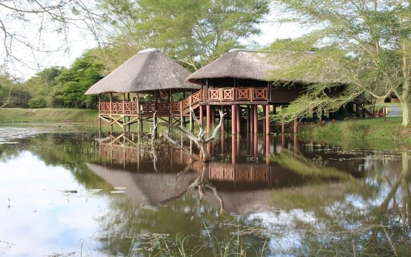 AfriCamps at Bonamanzi Game Reserve, Hluhluwe
